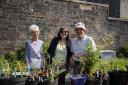 PICTURES: Bloomin' lovely plant sale brings in the crowds to Helensburgh