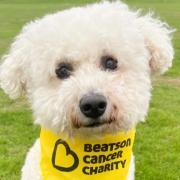 Irvine pooch who  'saved owner's life' becomes cancer charity's new Ambassadog