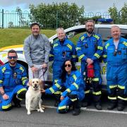 Labrador dog Mali saved from water at Irvine harbour after coastguard rescue