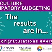 The arts and culture participatory budgeting announcement