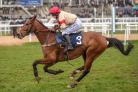 Mcgowans Pass can go close in the Craigie Cup at Ayr on Saturday