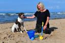 Monty the Irvine Beach Ambassor dog.