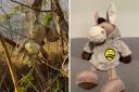 A volunteer from Irvine's Clean Up Crew found the stuffed toy looking worse for wear in a tree - but the plush donkey is now on the mend.