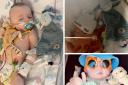 Desperate plea to find brave tot's lost teddy that helped him through surgery