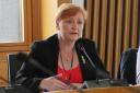 SNP MSP Emma Harper launche an online consultation at Holyrood