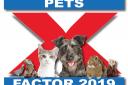 Our Pets Factor entries for 2019 - but who will win £1,000 prize?