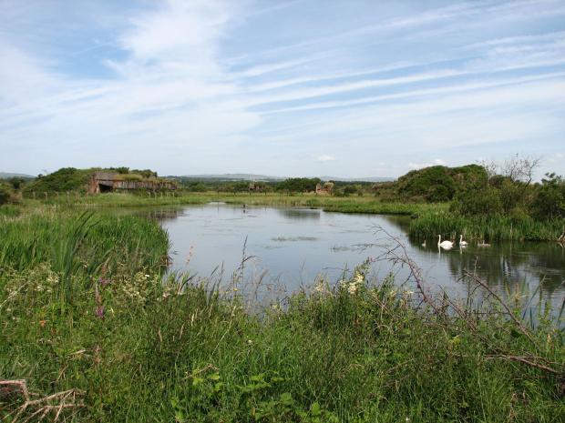 Irvine Times: The site is said to be of national importance for nature. Photo: Iain Hamlin
