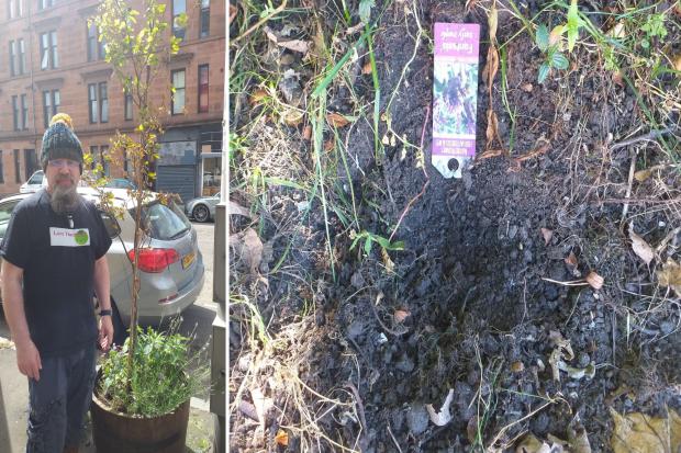 Thornwood community upset after more than 20 plants are stolen from the street