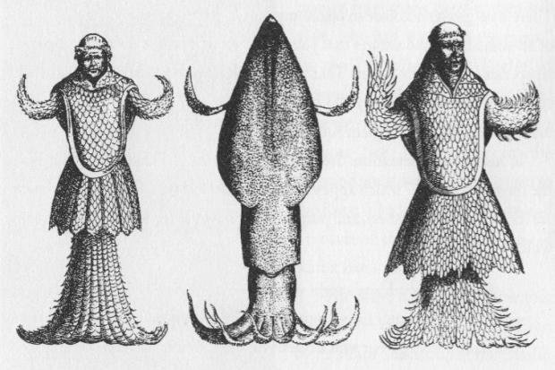 Johannes Japetus Smith Steenstrup, Sea Monks and Squid, 1853, image courtesy of Charles Paxton