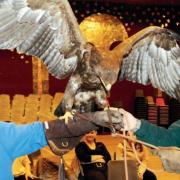 Irvine Royal Academy pupils got up close to some birds of prey in 2004
