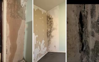 The black mould issue perisiting across multiple areas of the tennants room.