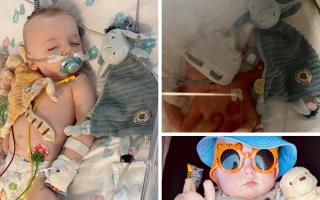 Desperate plea to find brave tot's lost teddy that helped him through surgery